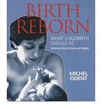 Birth Reborn: What Childbirth Should Be